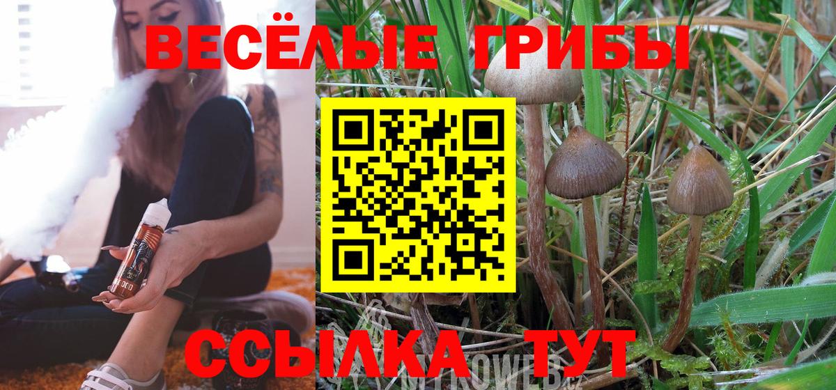 Галлюциногенные грибы Psilocybe Ноябрьск